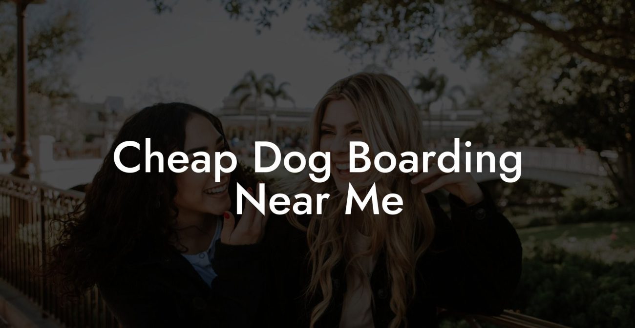 Cheap Dog Boarding Near Me