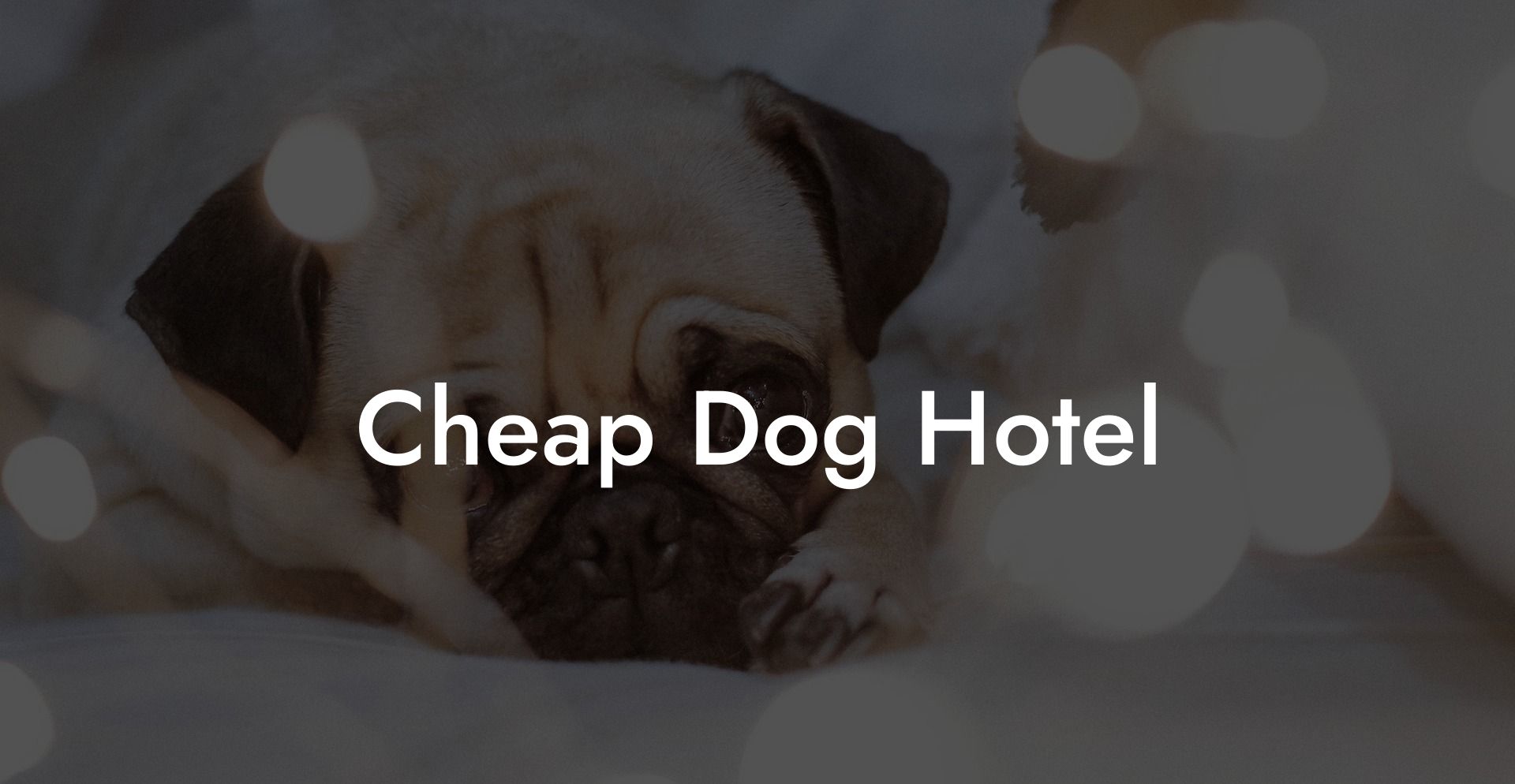 Cheap Dog Hotel