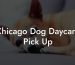 Chicago Dog Daycare Pick Up