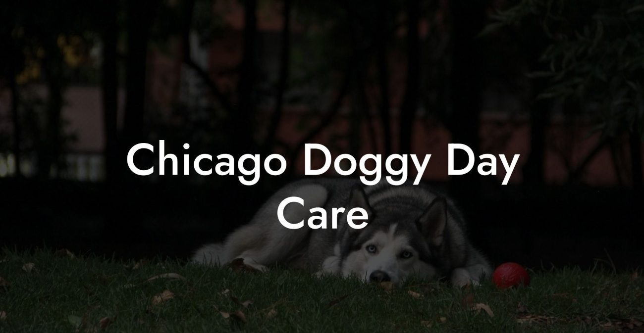 Chicago Doggy Day Care