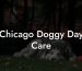 Chicago Doggy Day Care
