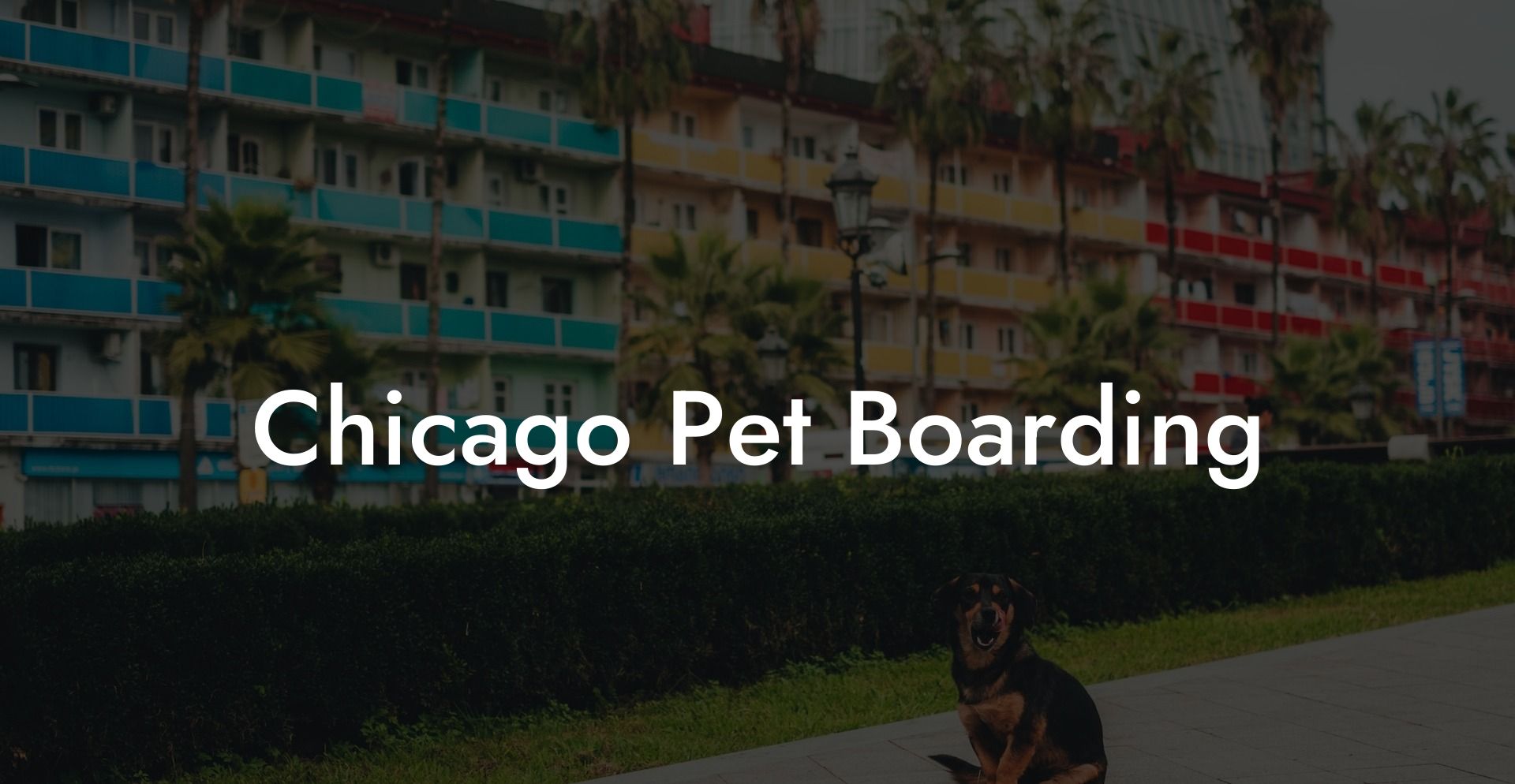Chicago Pet Boarding