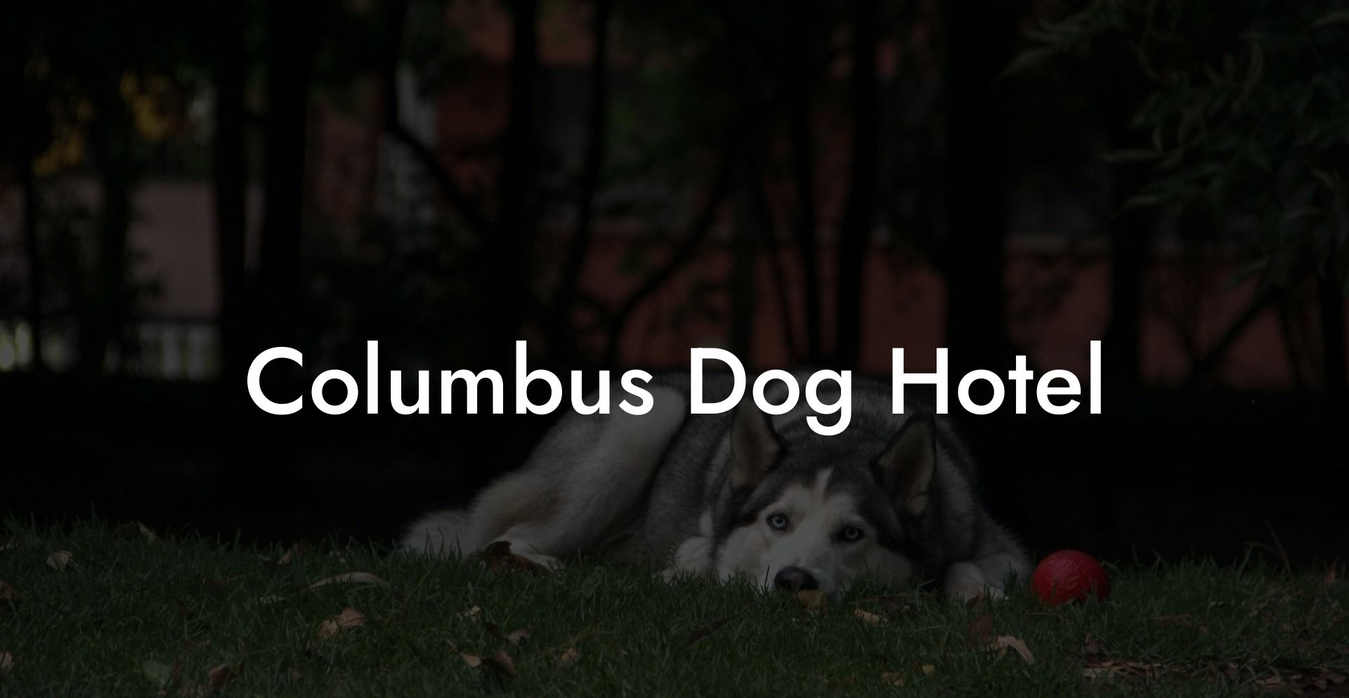 Columbus Dog Hotel