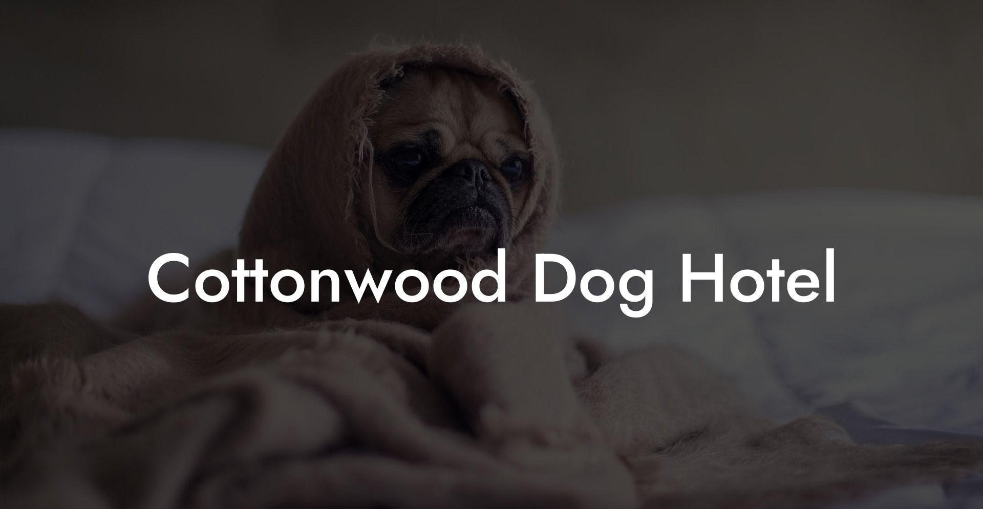 Cottonwood Dog Hotel