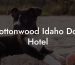 Cottonwood Idaho Dog Hotel