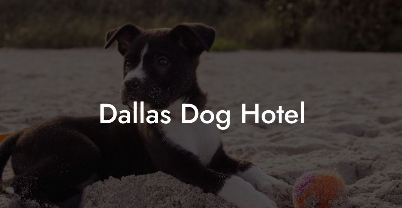 Dallas Dog Hotel