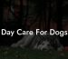 Day Care For Dogs
