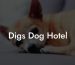 Digs Dog Hotel