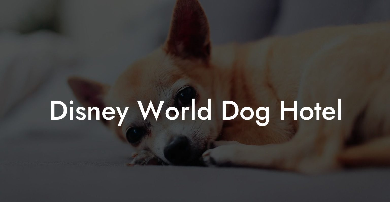 Disney World Dog Hotel Dog Hotels