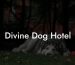 Divine Dog Hotel