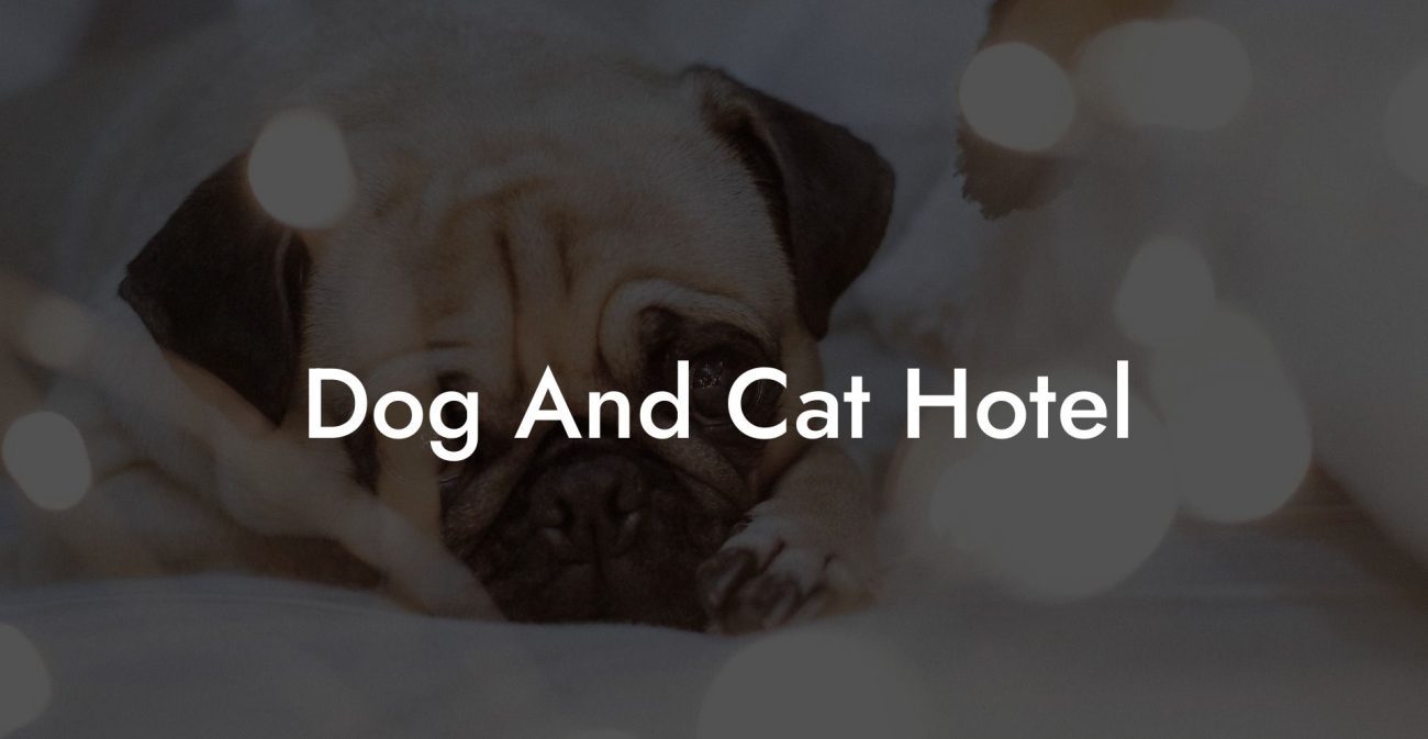 Dog And Cat Hotel