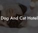 Dog And Cat Hotel