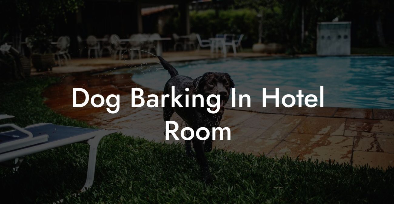 Dog Barking In Hotel Room