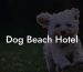 Dog Beach Hotel