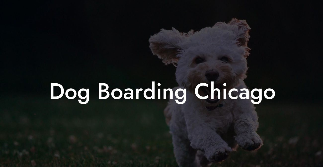 Dog Boarding Chicago