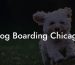 Dog Boarding Chicago