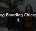 Dog Boarding Chicago IL