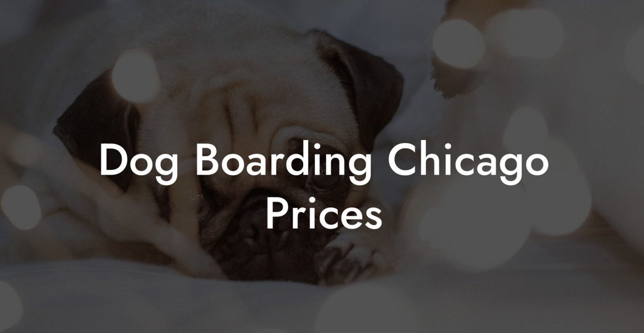 Dog Boarding Chicago Prices