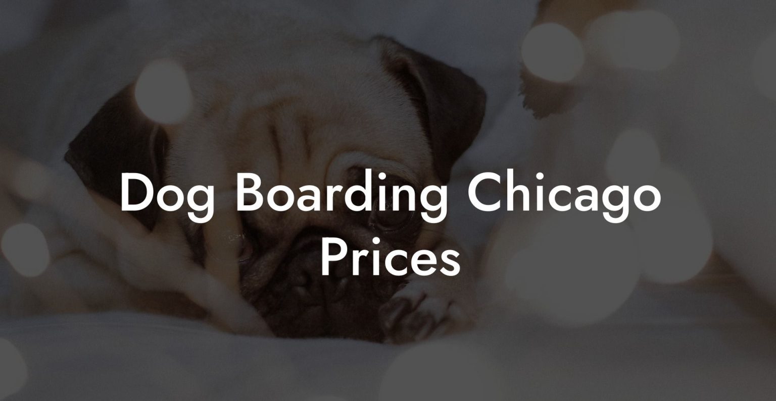 Dog Boarding Chicago Prices Dog Hotels