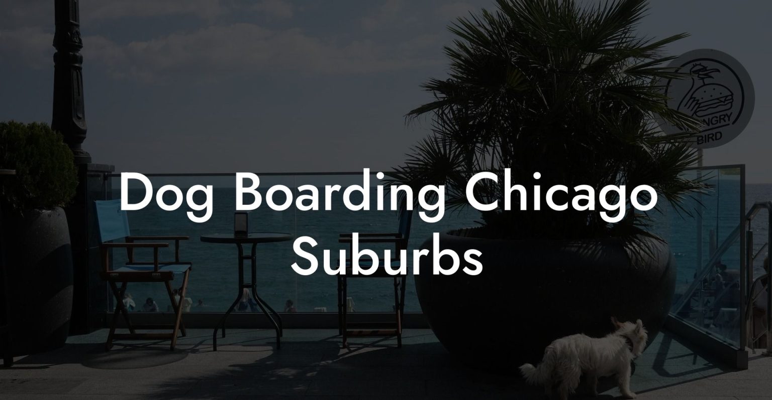 Dog Boarding Chicago Suburbs Dog Hotels