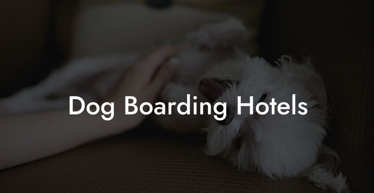 Dog Boarding Hotels