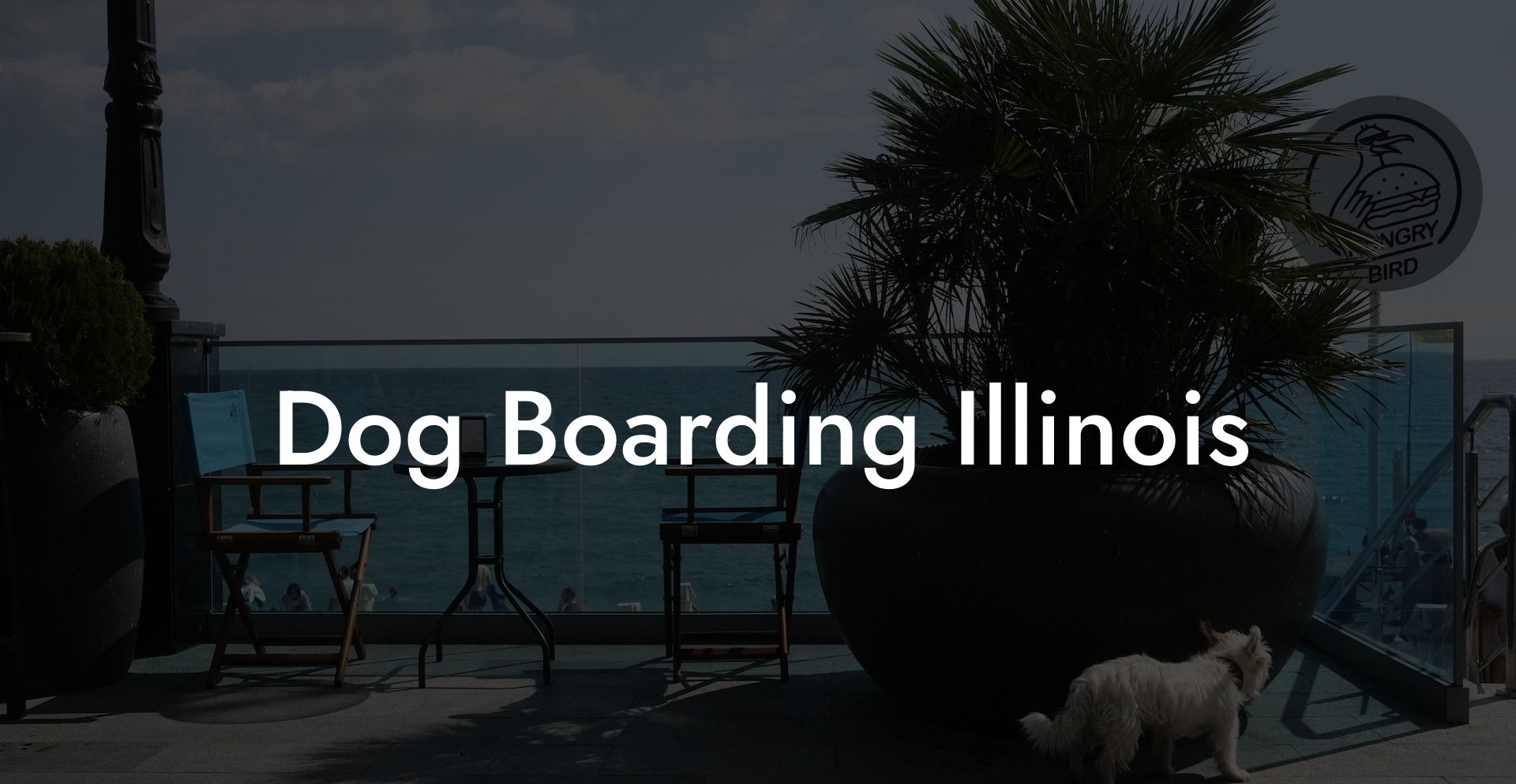Dog Boarding Illinois