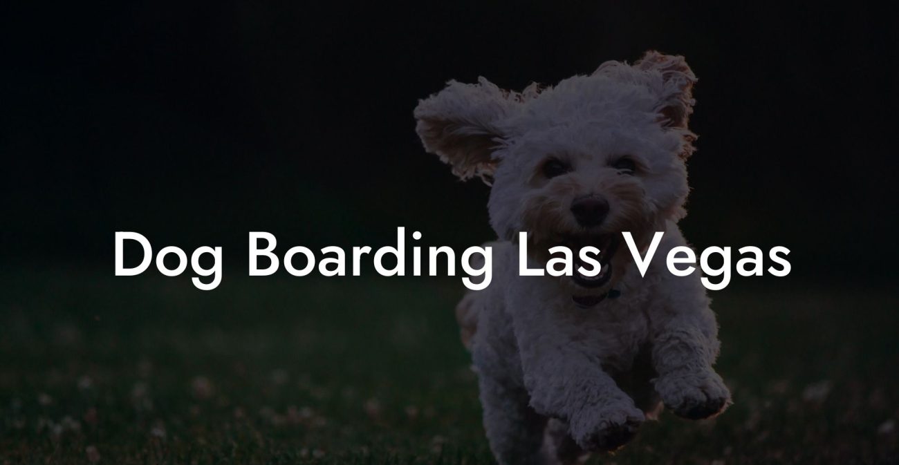Dog Boarding Las Vegas