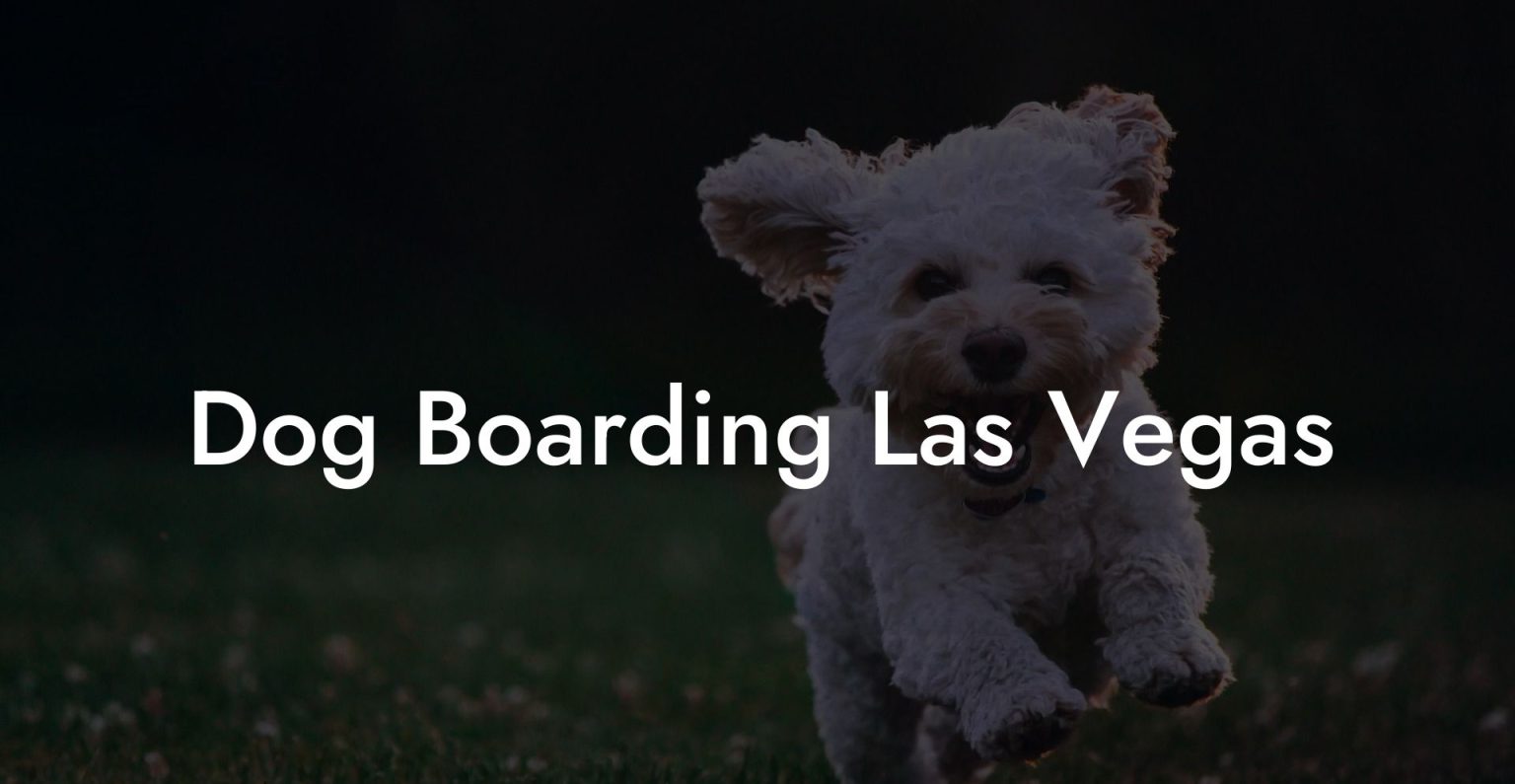 Dog Boarding Las Vegas Dog Hotels