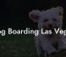 Dog Boarding Las Vegas