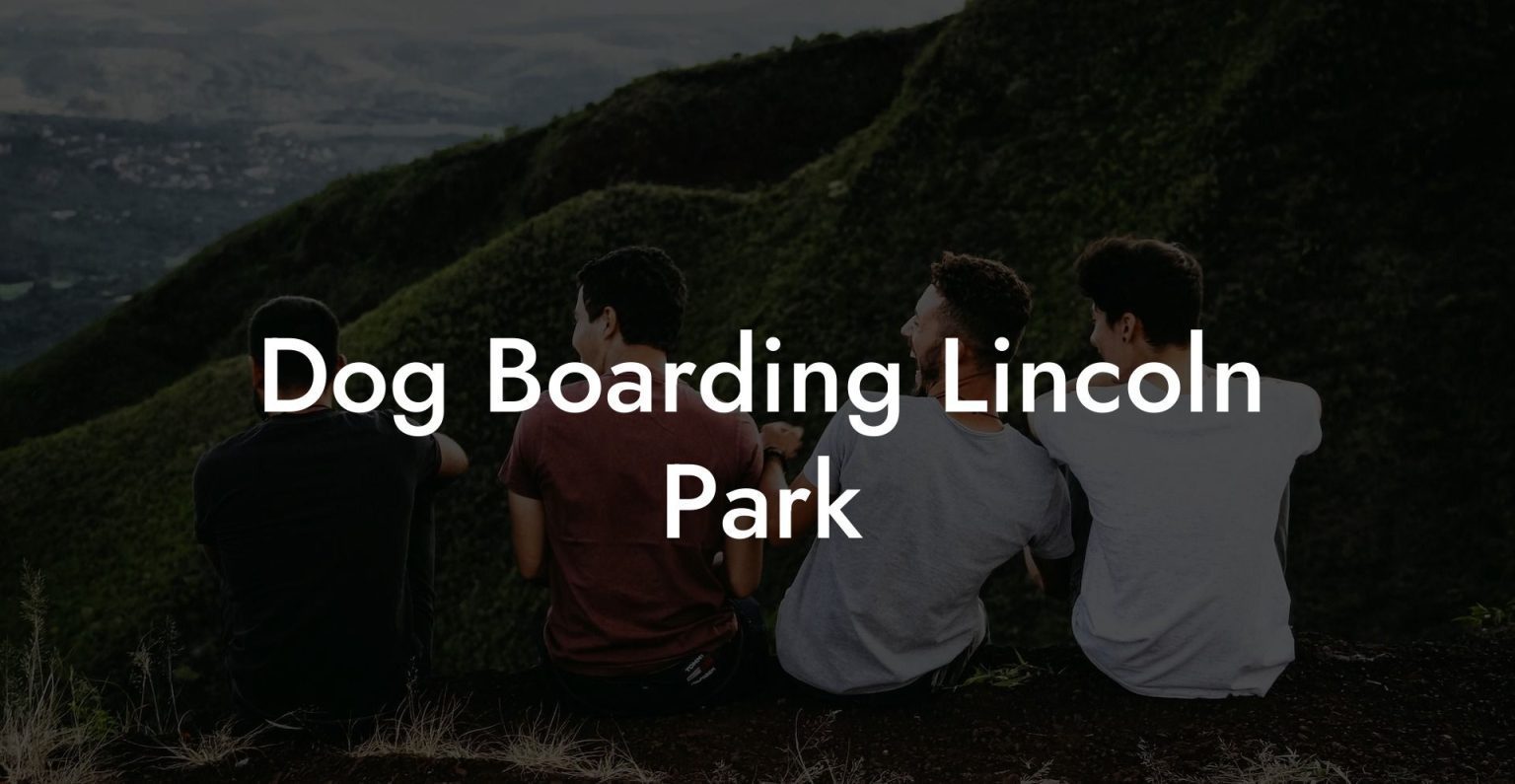 Dog Boarding Lincoln Park Dog Hotels