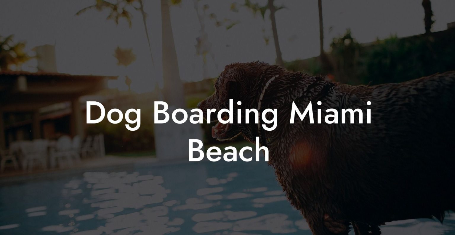 Dog Boarding Miami Beach Dog Hotels