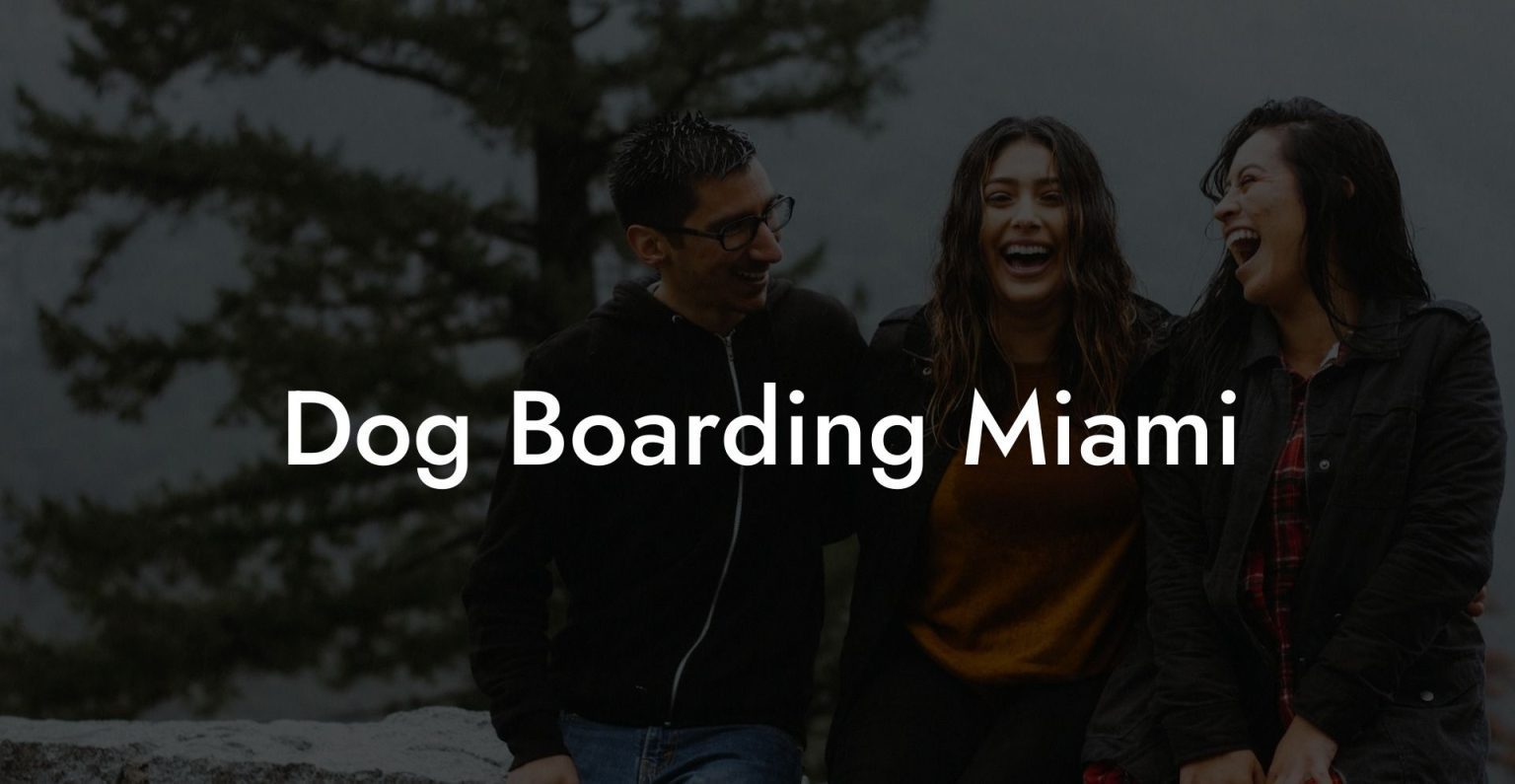Dog Boarding Miami Dog Hotels