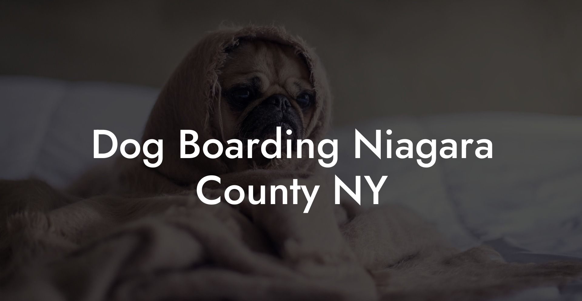 Dog Boarding Niagara County NY