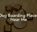 Dog Boarding Places Near Me