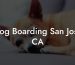 Dog Boarding San Jose CA