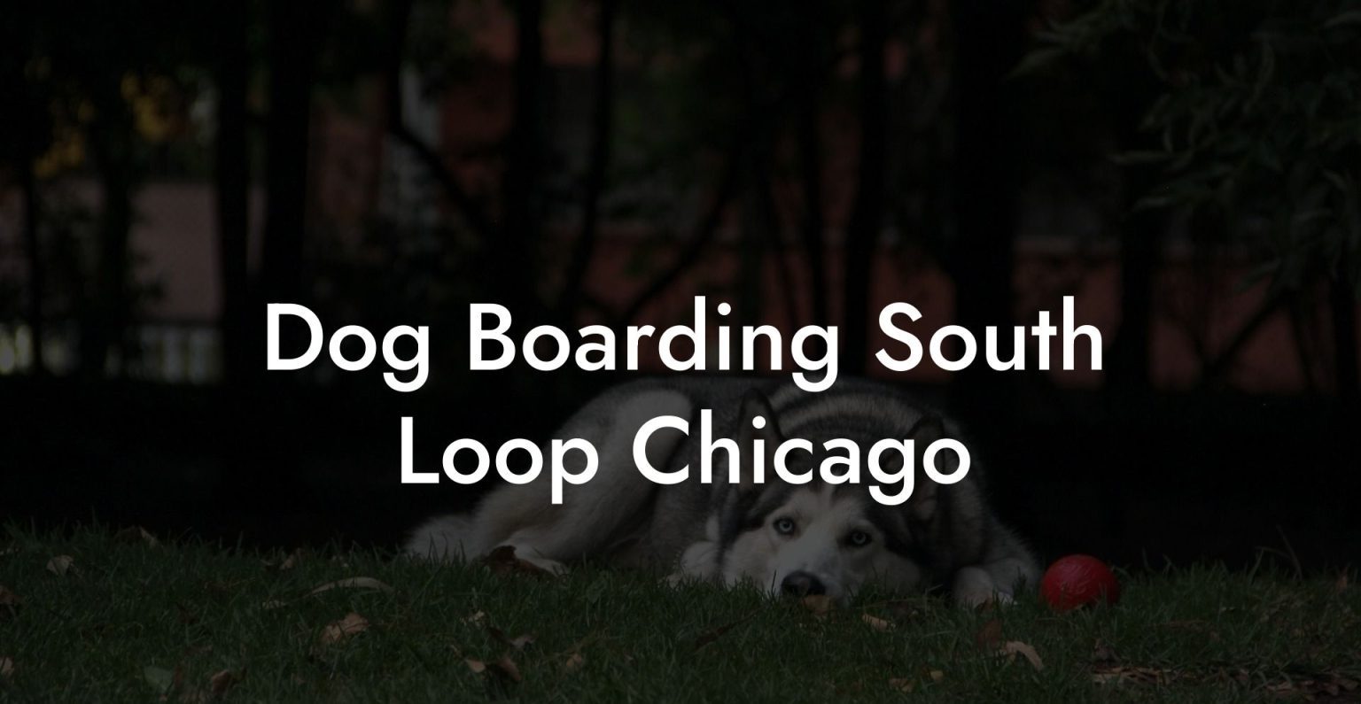 Dog Boarding South Loop Chicago Dog Hotels