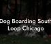 Dog Boarding South Loop Chicago