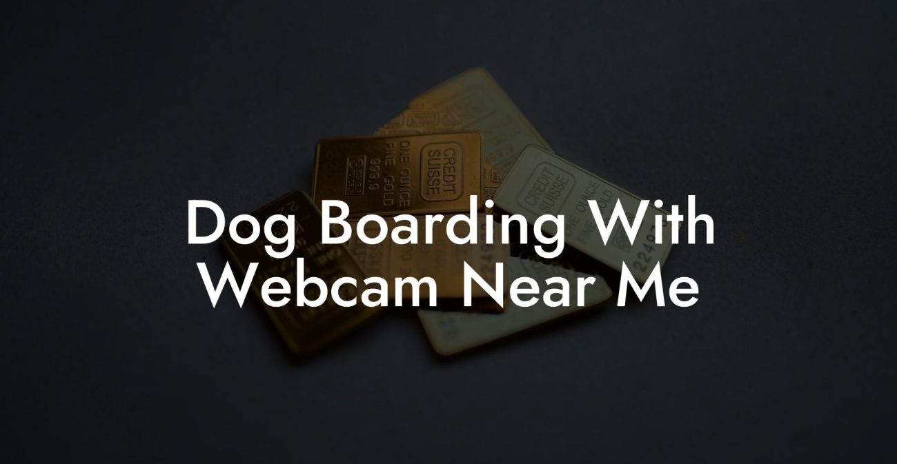 Dog Boarding With Webcam Near Me