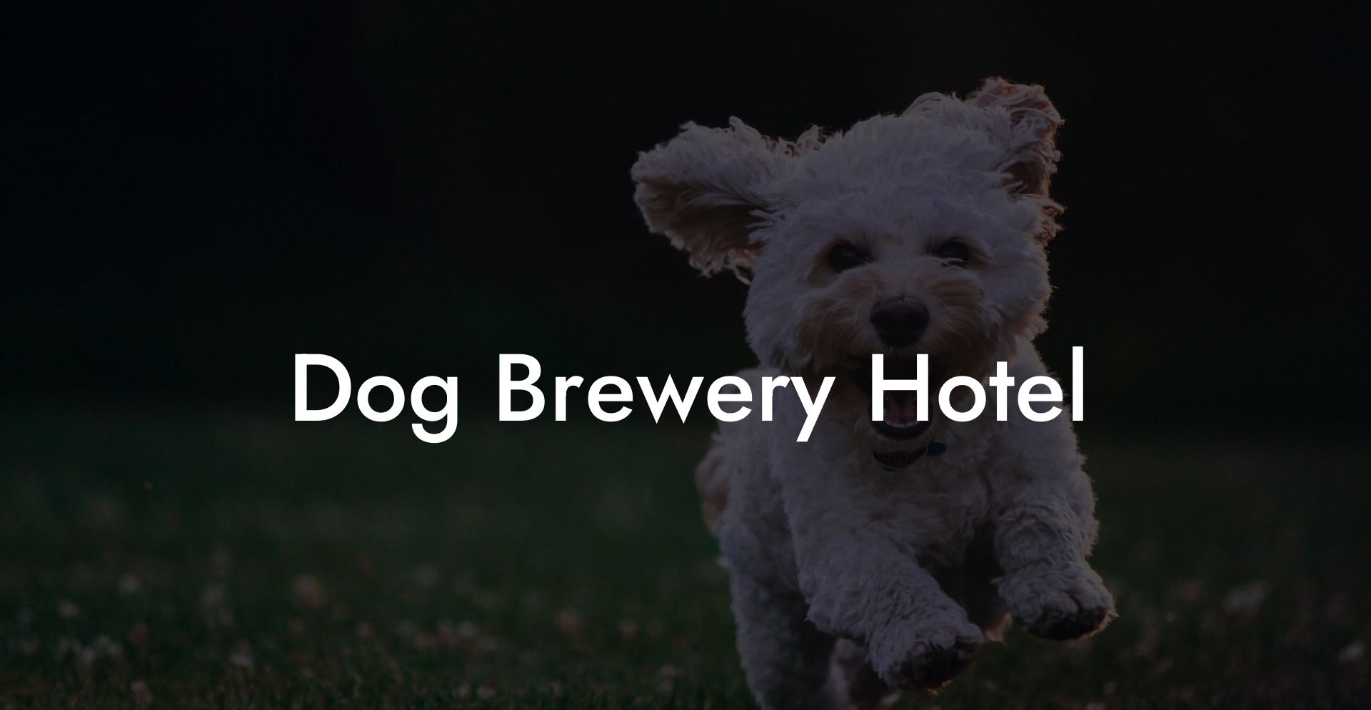 Dog Brewery Hotel
