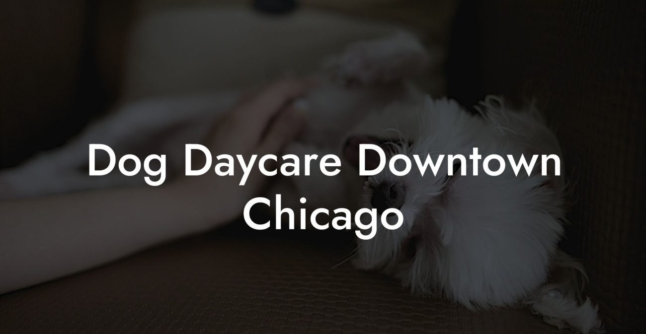 Dog Daycare Downtown Chicago