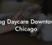 Dog Daycare Downtown Chicago