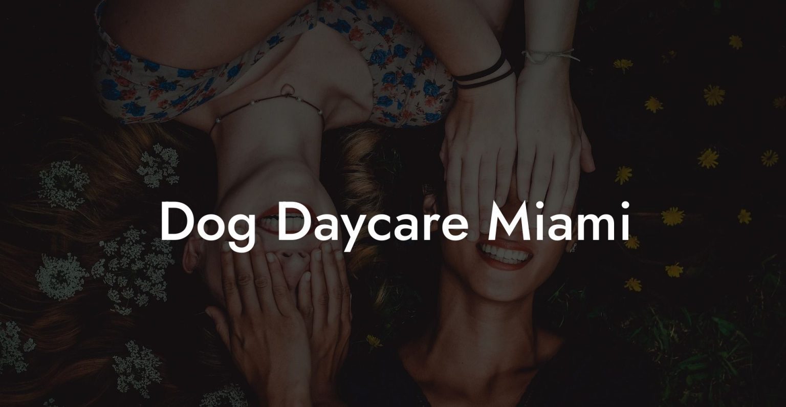 Dog Daycare Miami Dog Hotels