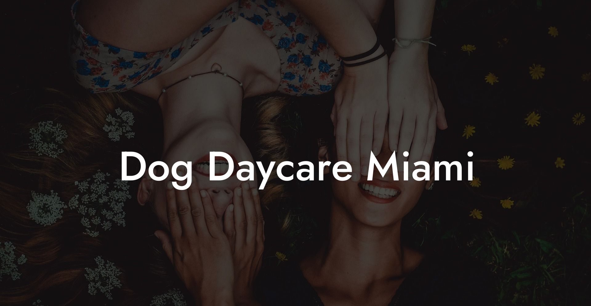 Dog Daycare Miami