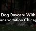 Dog Daycare With Transportation Chicago
