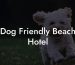 Dog Friendly Beach Hotel