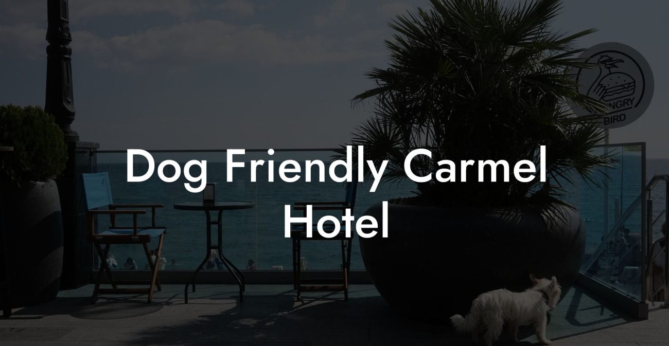 Dog Friendly Carmel Hotel