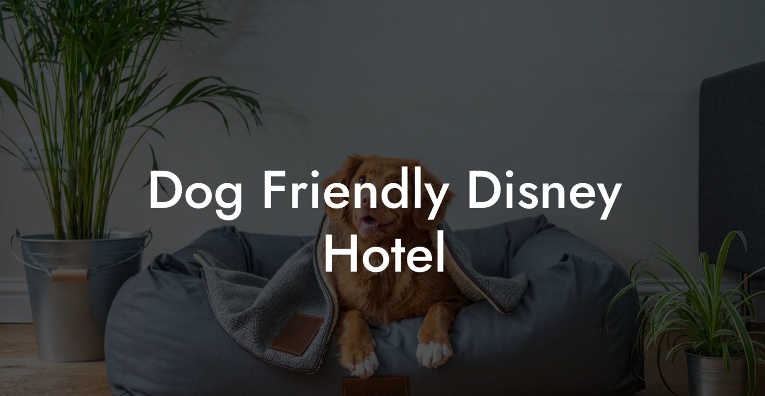 Dog Friendly Disney Hotel Dog Hotels