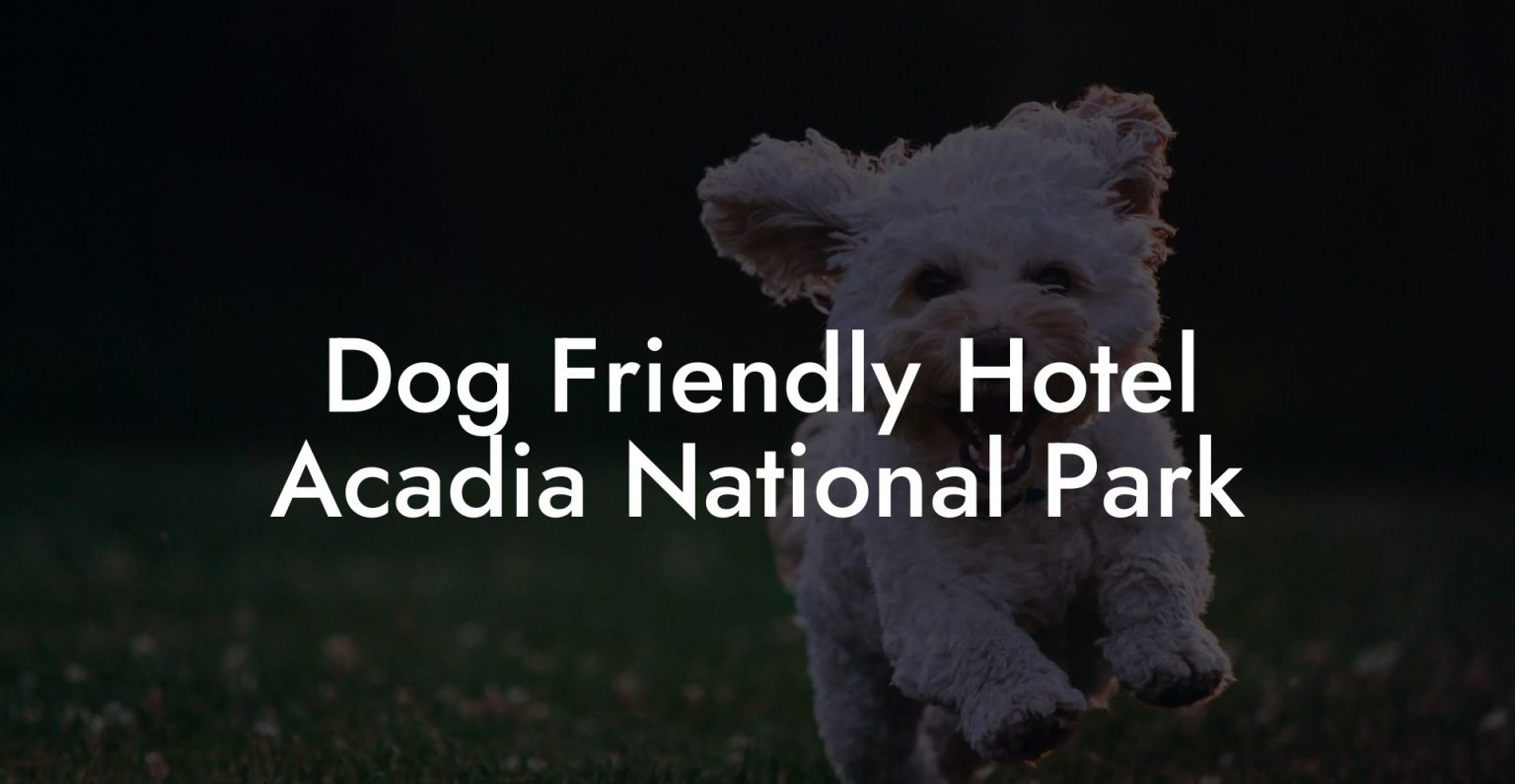 Dog Friendly Hotel Acadia National Park Dog Hotels