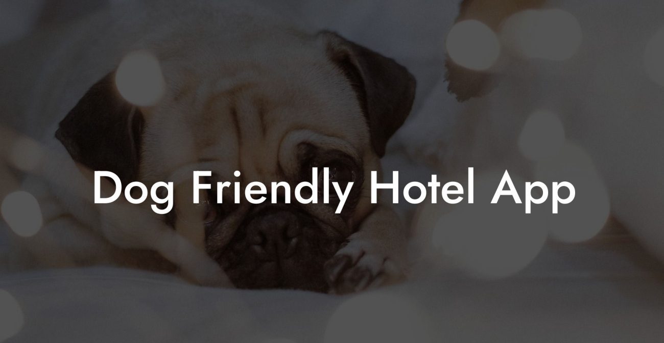 Dog Friendly Hotel App