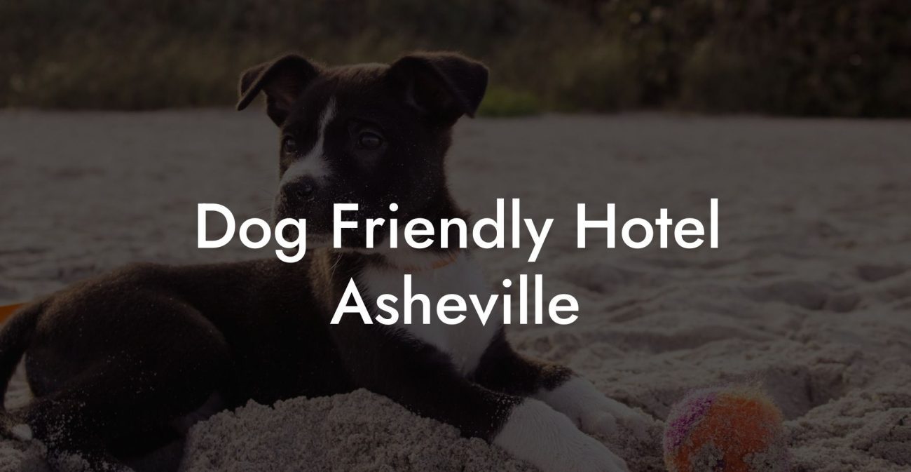 Dog Friendly Hotel Asheville